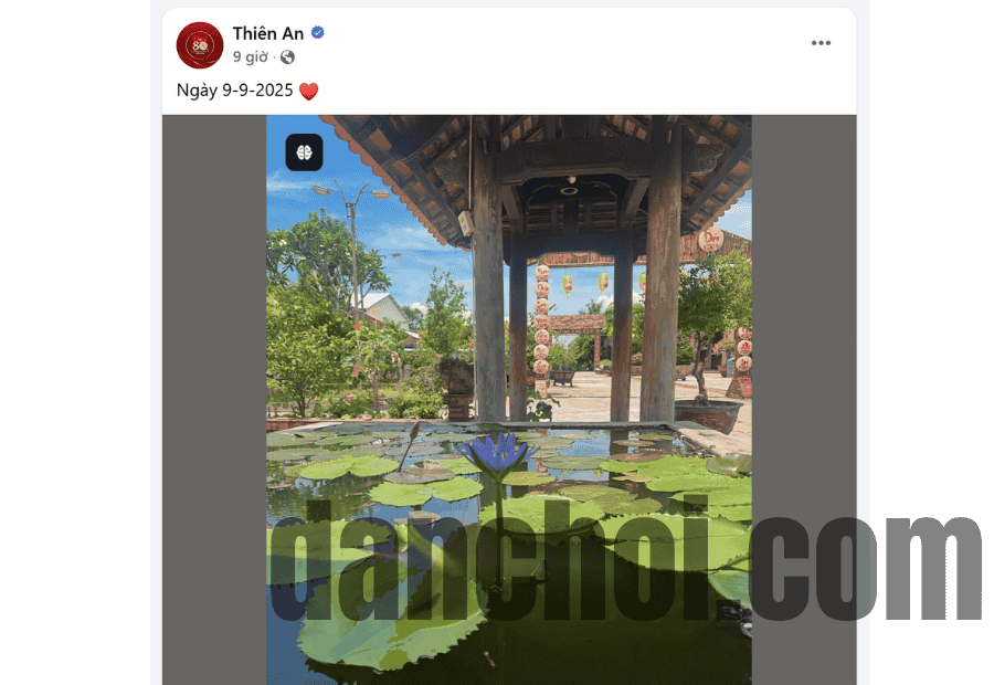 Click image for larger version

Name:	danchoi.com (23).png
Views:	5
Size:	98.4 KB
ID:	37218