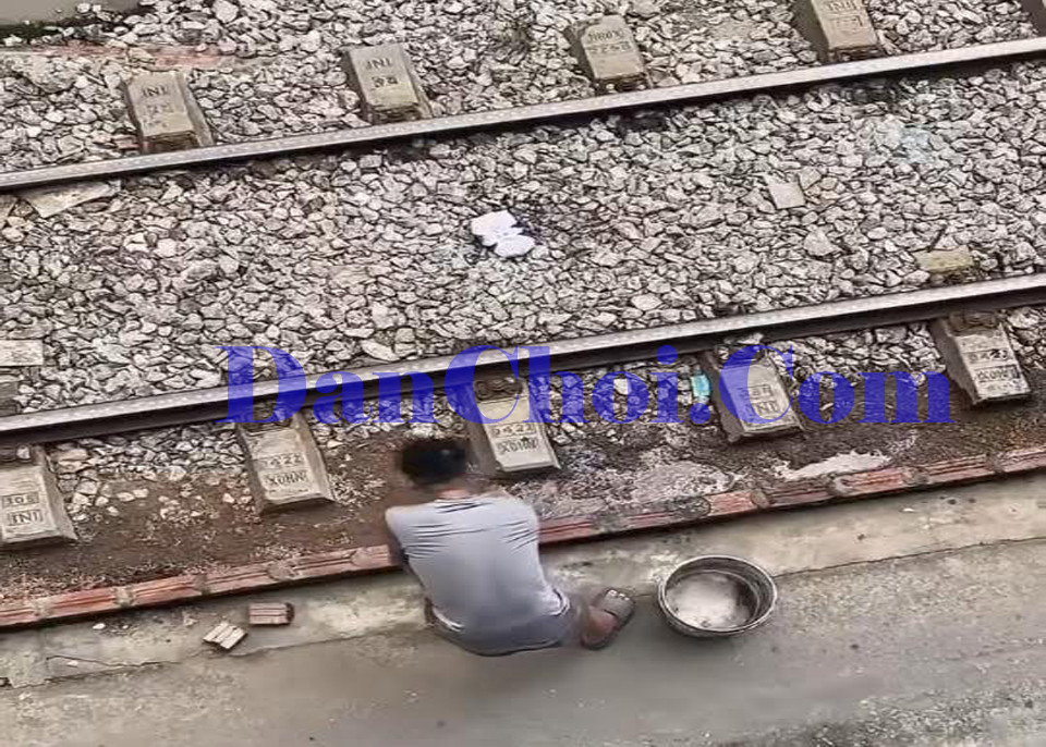 Rau má mọc bên đường ray, thanh niên trồng vườn rồi bị công nhân “hốt sạch” khiến dân mạng cười xỉu 🤯🌱