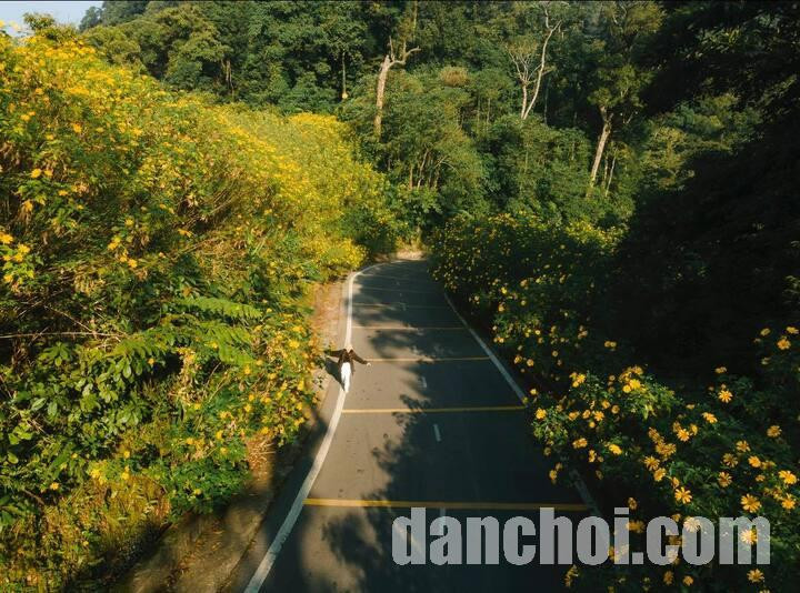 Click image for larger version

Name:	daquy8-15454108.jpg
Views:	6
Size:	166.6 KB
ID:	39673