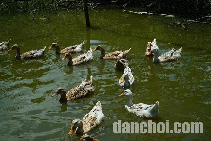 Click image for larger version

Name:	1b71adeda8a441fa18b5.jpg.jpg
Views:	5
Size:	98.2 KB
ID:	40072