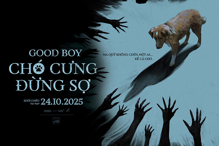 Click image for larger version

Name:	goodboy.jpg
Views:	0
Size:	103.9 KB
ID:	41819