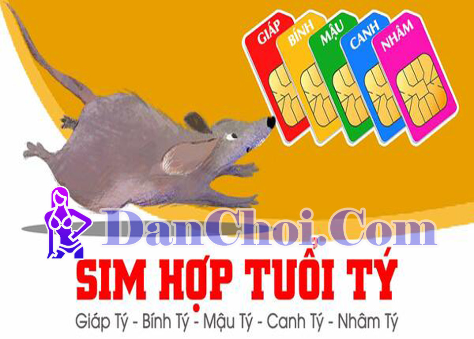 Sim cho người tuổi Tý – Bí quyết hút tài vận chỉ dân chơi sành mới hiểu
