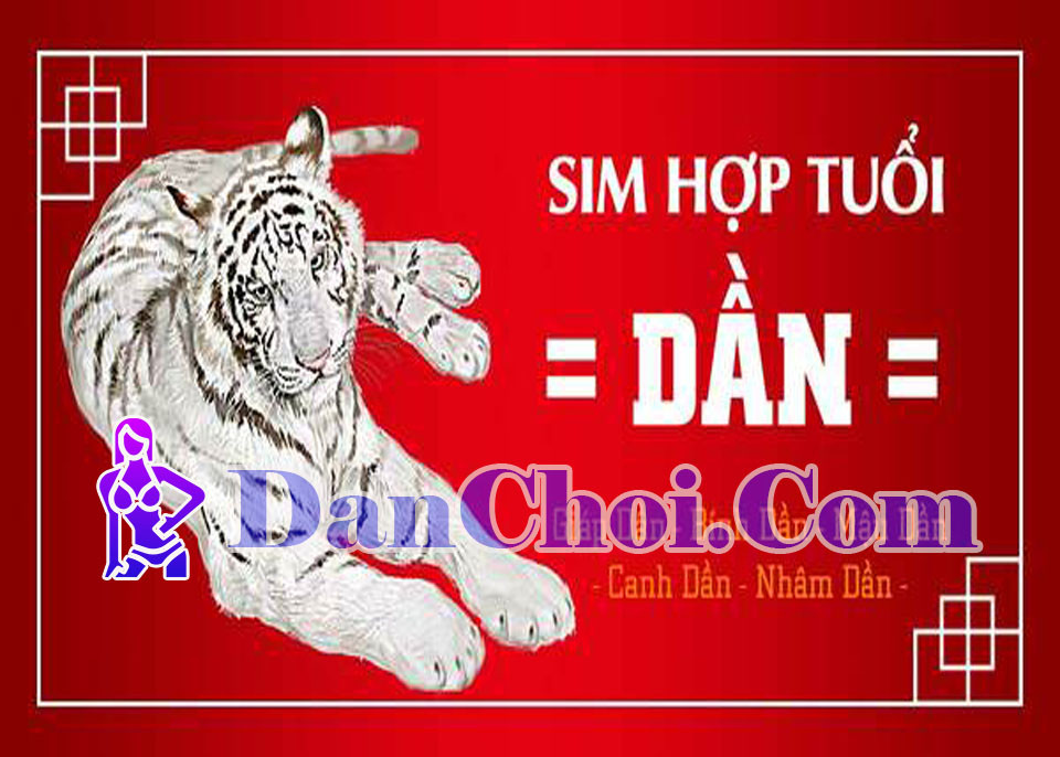 Sim phong thủy tuổi Dần – Bí quyết “kích vận đổi đời”