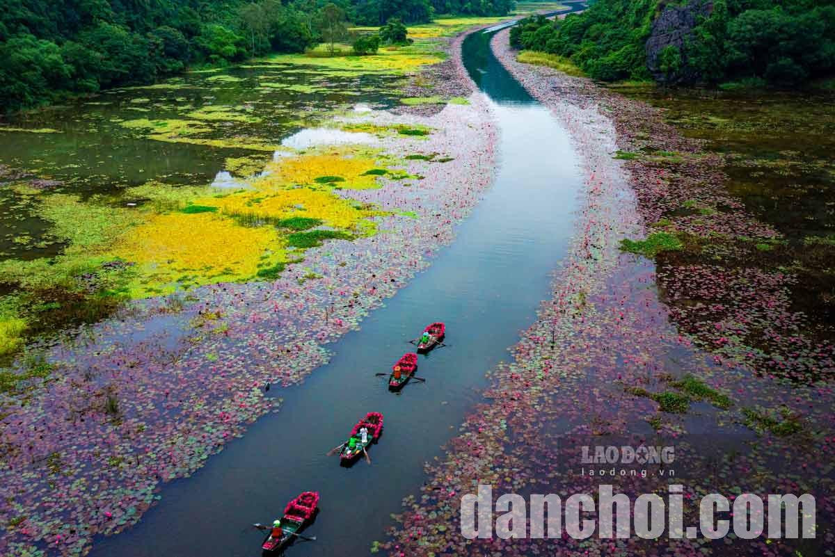 Click image for larger version

Name:	Ninh-Binh-2.jpg
Views:	0
Size:	291.8 KB
ID:	42343