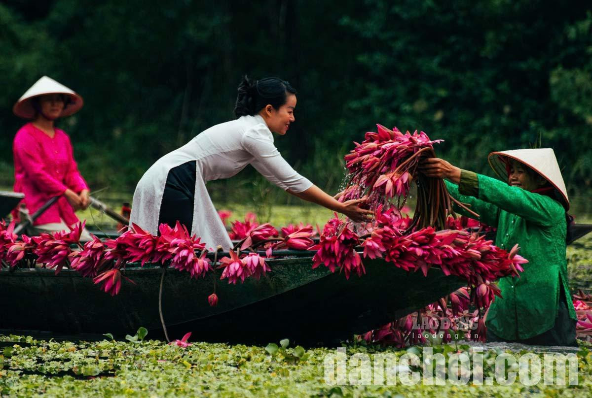 Click image for larger version

Name:	Ninh-Binh-5.jpg
Views:	0
Size:	239.3 KB
ID:	42346