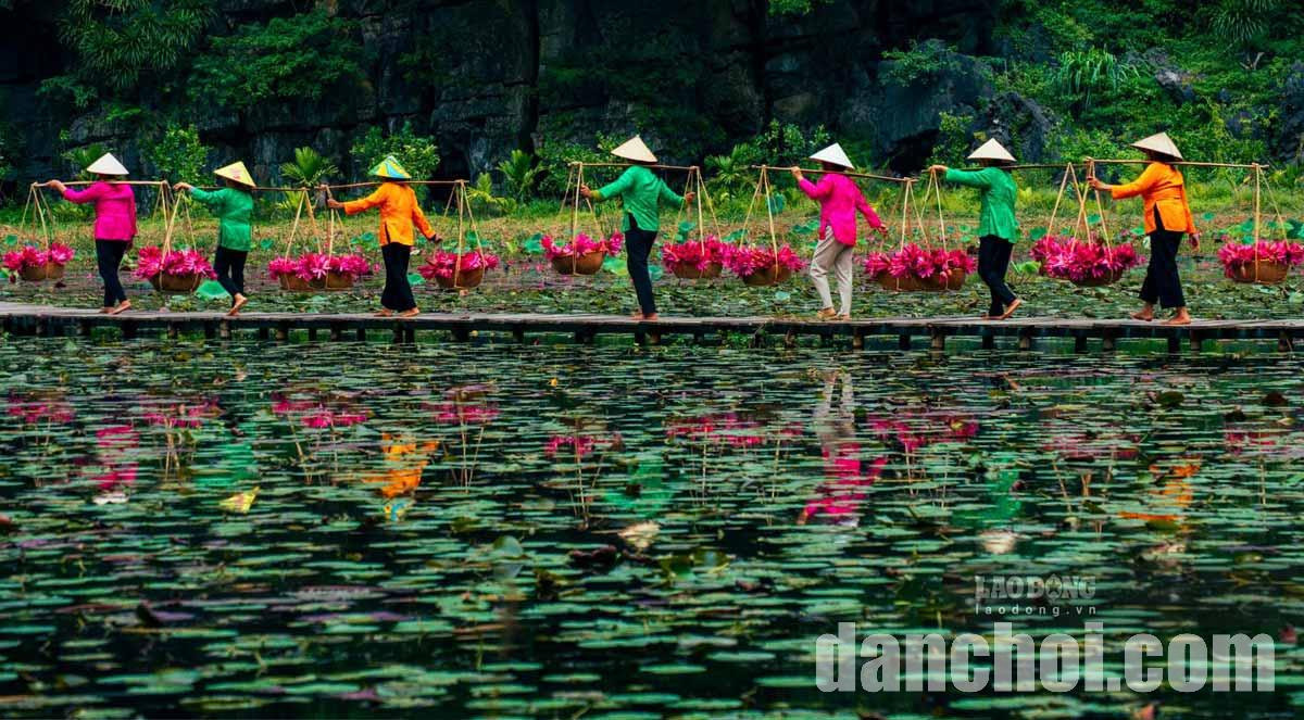 Click image for larger version

Name:	Ninh-Binh-6.jpg
Views:	0
Size:	317.9 KB
ID:	42347