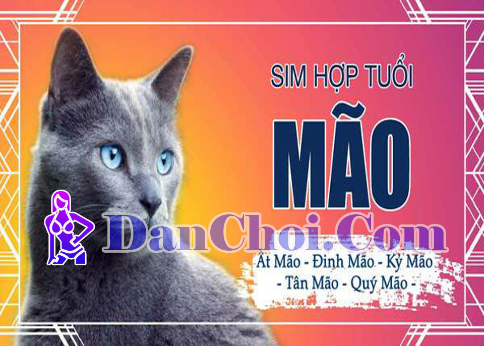 Tuổi Mẹo dùng sim gì để công danh thăng tiến, tình duyên như ý? ❤️