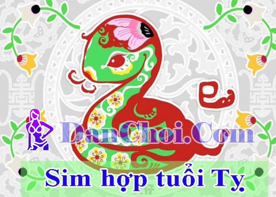 NGƯỜI TUỔI TỴ CHỌN SIM GÌ ĐỂ KHAI MỞ VẬN KHÍ, HÚT LỘC