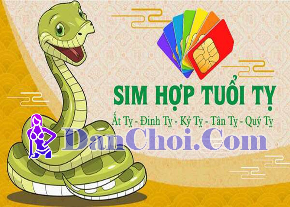 NGƯỜI TUỔI TỴ CHỌN SIM GÌ ĐỂ KHAI MỞ VẬN KHÍ, HÚT LỘC