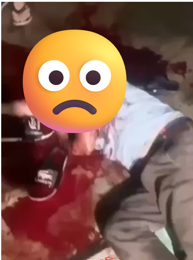 Click image for larger version

Name:	Screenshot 2025-11-02 221027.png
Views:	4
Size:	373.8 KB
ID:	42838