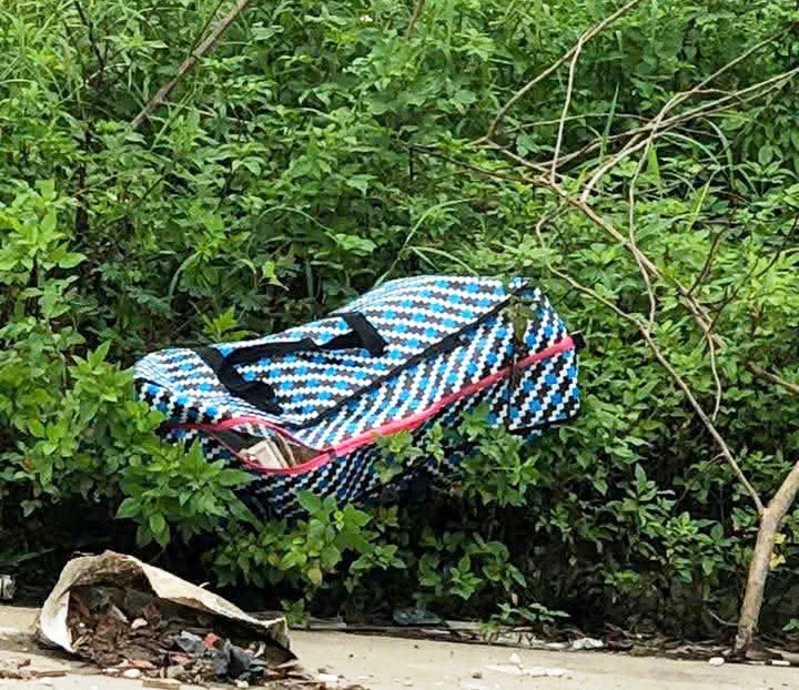 Click image for larger version  Name:	z7191542484931-cc68caa08564fa311e509aa5af7f499a-2275.jpg Views:	0 Size:	233.6 KB ID:	43364