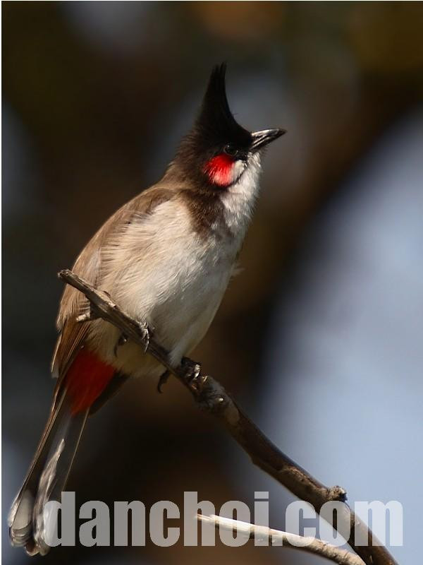 Click image for larger version  Name:	120250623142707.jpg Views:	0 Size:	65.2 KB ID:	43372