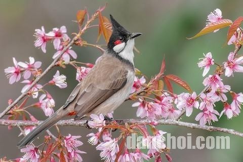 Click image for larger version  Name:	620250623143241.jpg Views:	0 Size:	51.9 KB ID:	43374