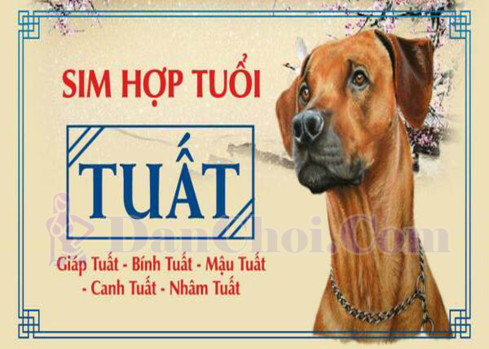 Tuổi Tuất cầm sim này – tài lộc kéo đến liên tục