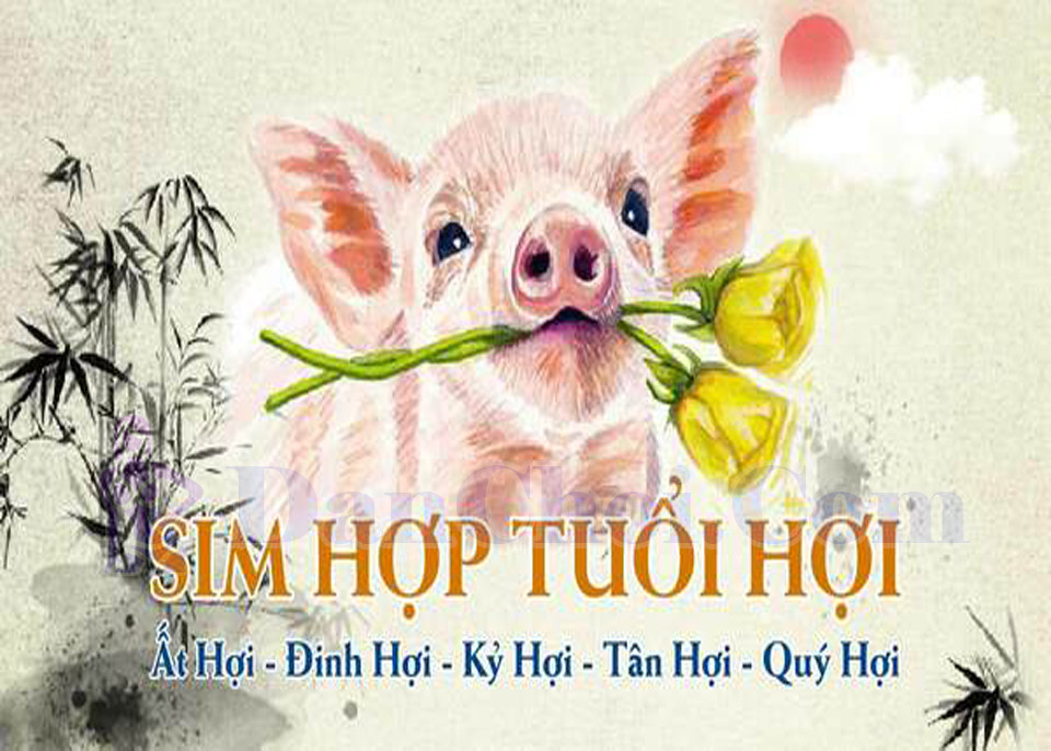 Sim phong thủy tuổi Hợi: Chọn đúng số, đổi vận liền tay