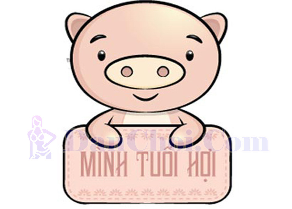 Sim phong thủy tuổi Hợi: Chọn đúng số, đổi vận liền tay