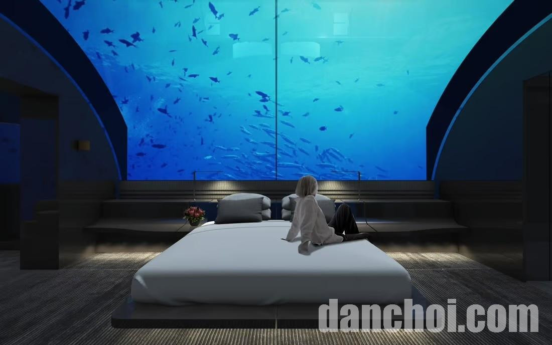 Click image for larger version

Name:	1.jpg
Views:	0
Size:	108.8 KB
ID:	44059