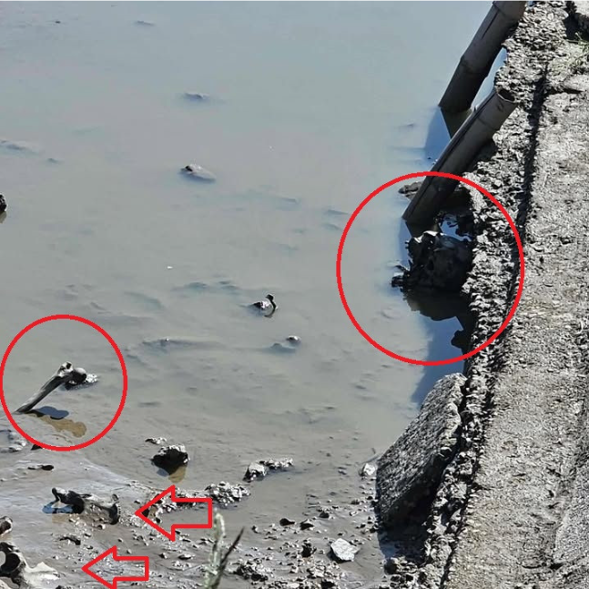 Click image for larger version

Name:	Screenshot 2025-11-13 205424.png
Views:	16
Size:	647.6 KB
ID:	44706