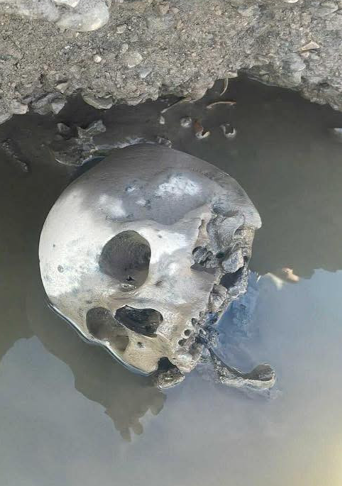 Click image for larger version

Name:	Screenshot 2025-11-13 205441.png
Views:	13
Size:	417.1 KB
ID:	44707