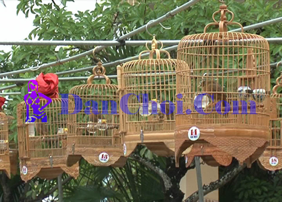 2 chiến lược kinh doanh từ thú chơi chim cảnh bạn chưa biết