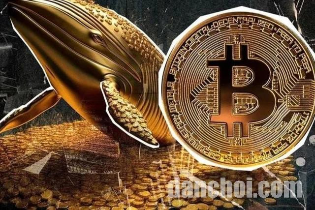 Click image for larger version

Name:	avatar1757435581960-17574355825461930339584.jpg
Views:	0
Size:	126.2 KB
ID:	45078