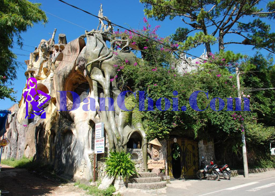 Khám phá Hằng Nga Guesthouse (“Crazy House”) – Kiến trúc siêu độc lạ giữa lòng Đà Lạt