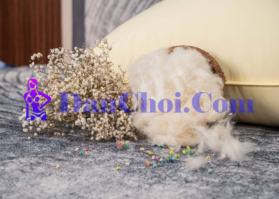 Gối ngủ bằng lông đà điểu cao cấp 50 triệu: Mềm thật nhưng không bán được