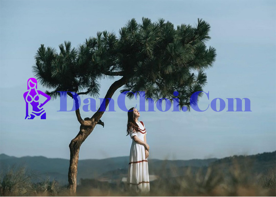 Tuyệt phẩm Lâm Đồng – Đồi Thiên Phúc Đức: Nơi Săn mây cho team chất chơi