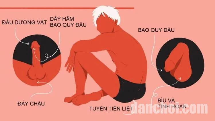 Click image for larger version

Name:	diem-nhay-cam-cua-dan-ong-VN-e1575962191775.jpg
Views:	9
Size:	46.3 KB
ID:	45961