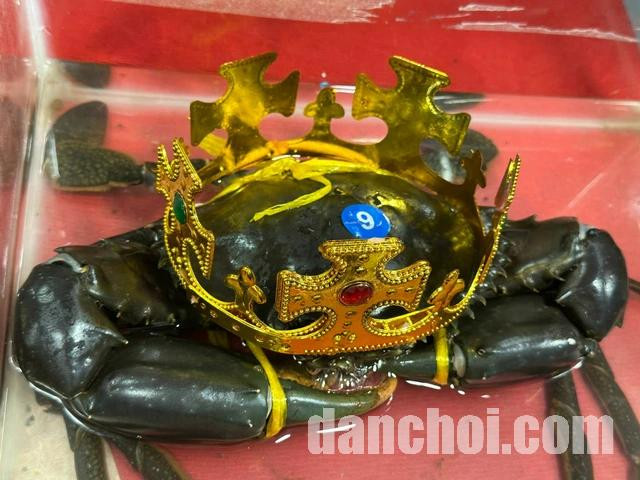 Click image for larger version

Name:	e213b6d3-e2d8-4c43-be99-76d982bee71e-17638150660191618152230.jpg
Views:	0
Size:	99.6 KB
ID:	46045