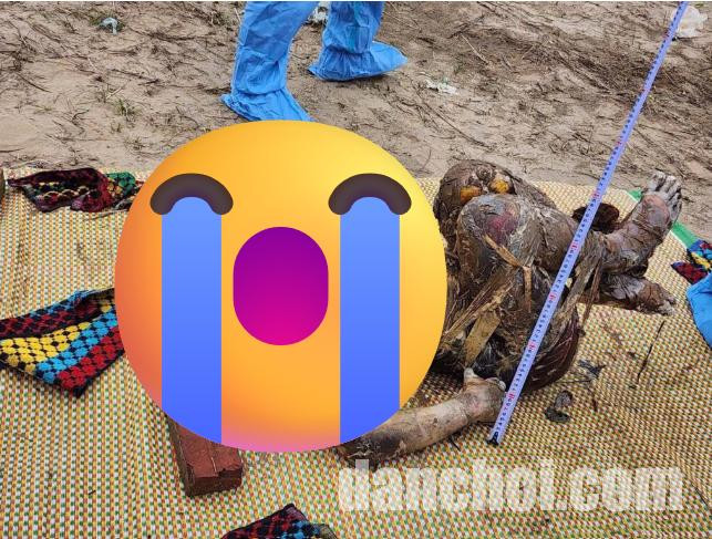 Click image for larger version  Name:	Screenshot 2025-11-25 212049.jpg Views:	0 Size:	152.0 KB ID:	46574