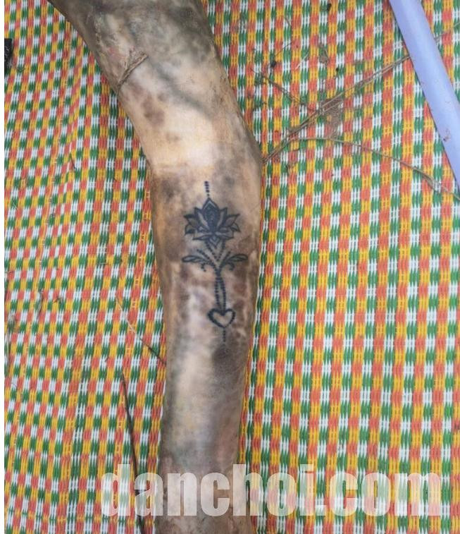 Click image for larger version  Name:	Screenshot 2025-11-25 212016.jpg Views:	0 Size:	208.1 KB ID:	46575