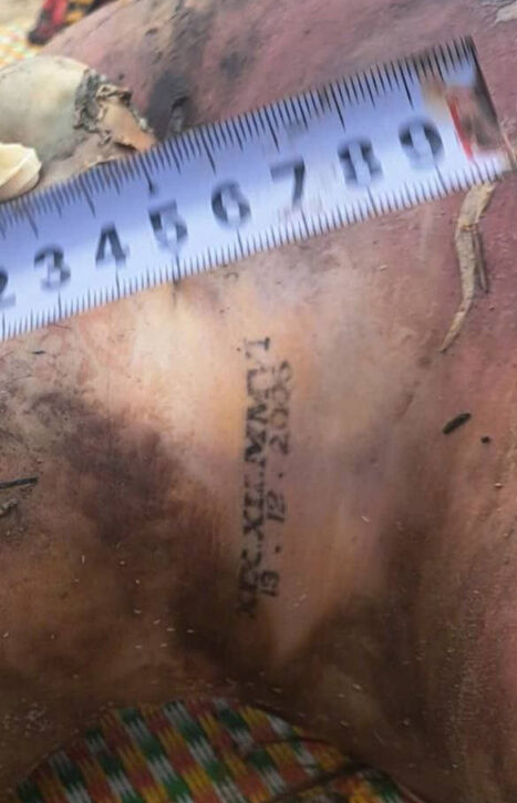 Click image for larger version  Name:	Screenshot 2025-11-25 212854.png Views:	0 Size:	400.6 KB ID:	46576