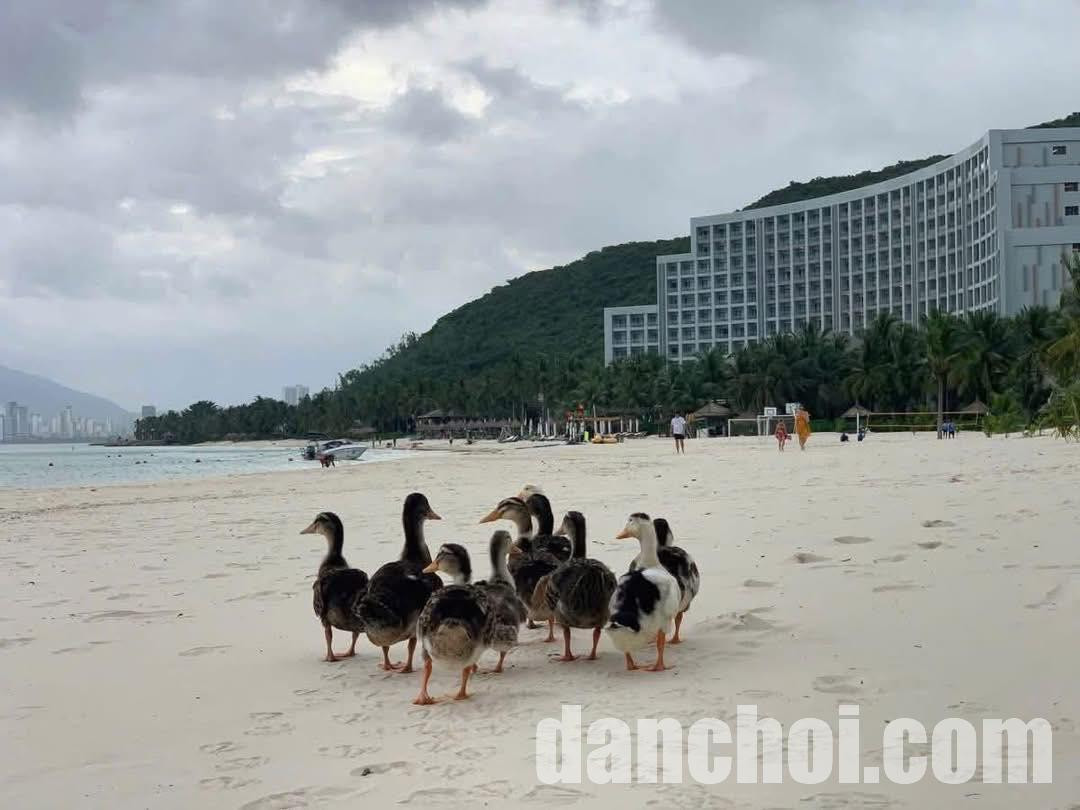 Click image for larger version

Name:	5877497401221379156469526413114447297444957310n-1764140976255812026696-1764147452629-1764147452916887782483.jpg
Views:	18
Size:	123.8 KB
ID:	46976