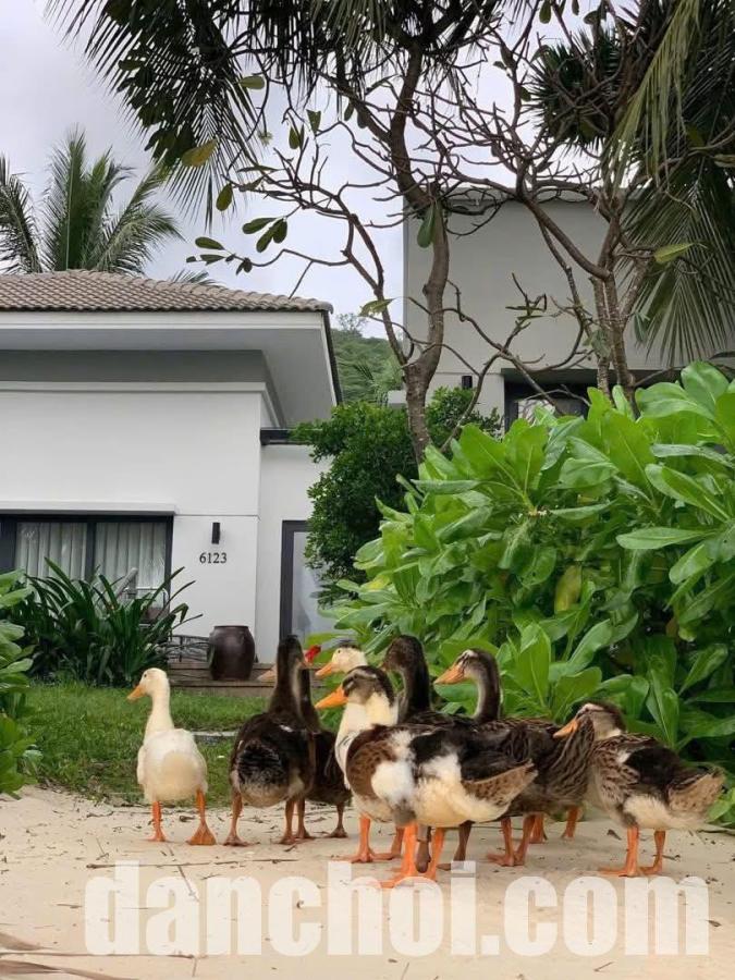 Click image for larger version

Name:	5877936331221379178369526412750722072476767276n-17641409764141591139407-1764147454533-1764147454789829539212.jpg
Views:	5
Size:	124.4 KB
ID:	46977