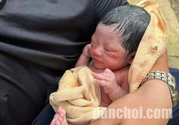 Click image for larger version

Name:	21e27b61da2833766a39.jpg.jpg
Views:	20
Size:	65.8 KB
ID:	47001