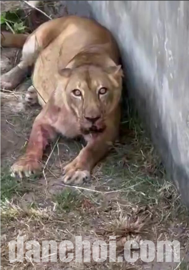 Click image for larger version

Name:	Screenshot 2025-12-03 222012.jpg
Views:	9
Size:	106.5 KB
ID:	48589