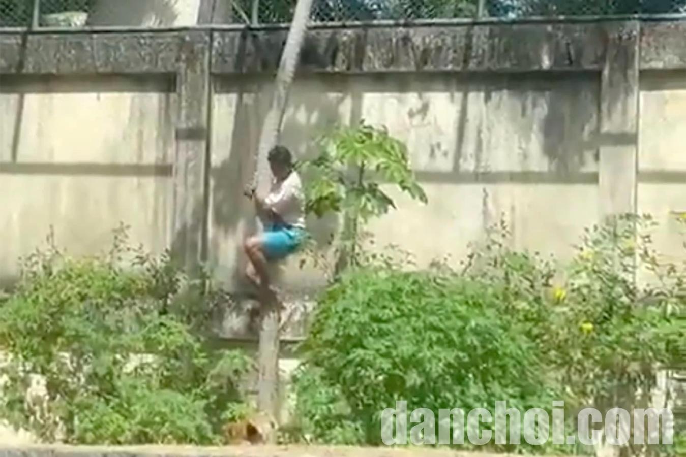 Click image for larger version

Name:	251201-lion-mauling-teen-grab-8303-5657-1764637645.jpg
Views:	9
Size:	124.1 KB
ID:	48591