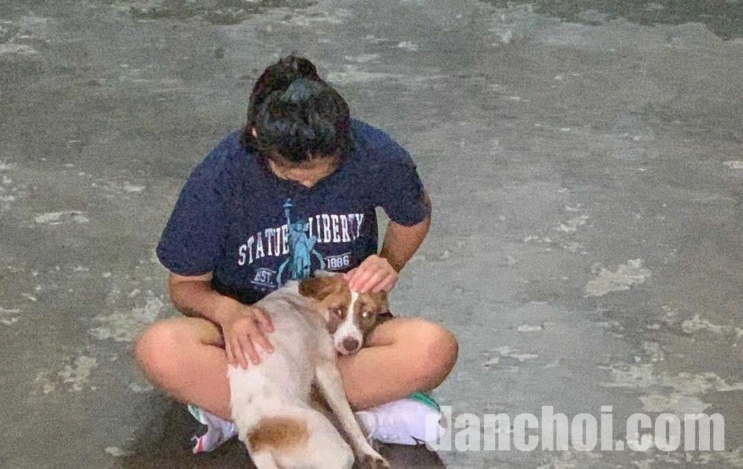 Click image for larger version

Name:	snapinsta-app-307218518-313662-7356-8094-1688692764.jpg
Views:	39
Size:	217.8 KB
ID:	51274