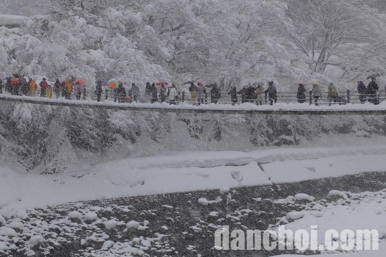 Click image for larger version

Name:	harper-bazaar-kinh-nghiem-di-lang-co-shirakawago-9.jpg
Views:	0
Size:	224.9 KB
ID:	55130