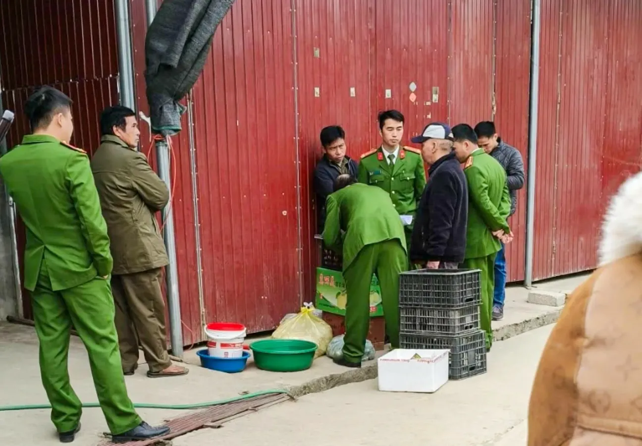 Click image for larger version

Name:	12-1766832120-1766832132-2686-1766832215.webp
Views:	1
Size:	95.1 KB
ID:	55564