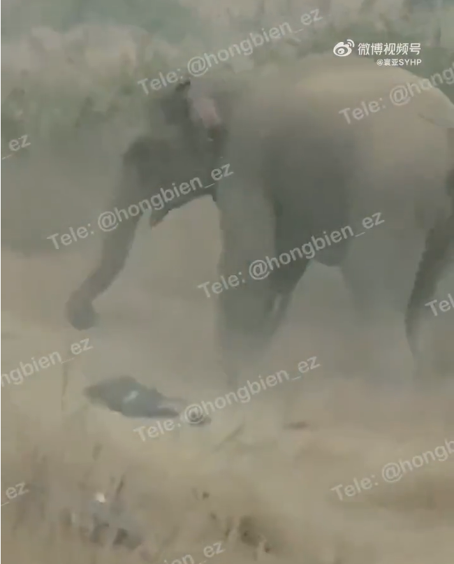 Click image for larger version

Name:	Screenshot 2025-12-28 231445.png
Views:	25
Size:	305.2 KB
ID:	55568