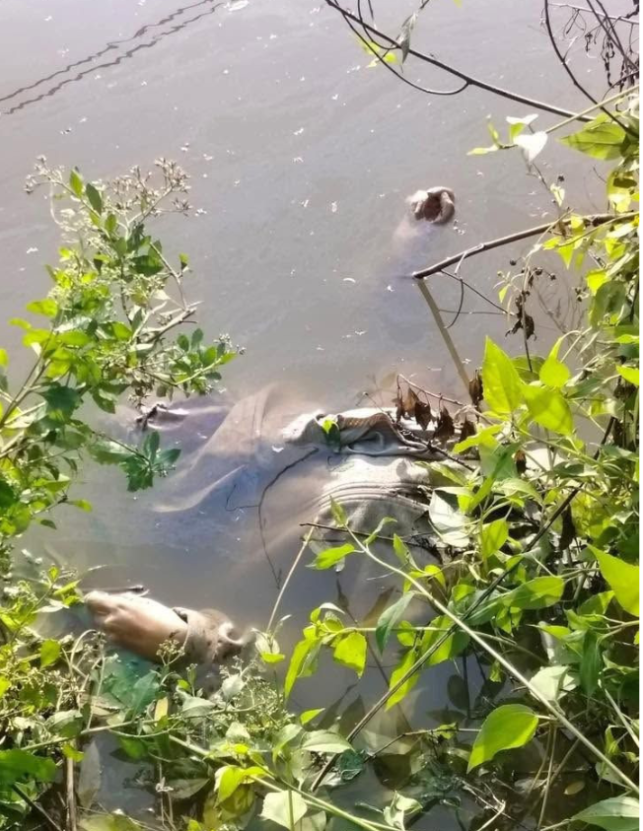 Click image for larger version

Name:	Screenshot 2026-01-02 223312.png
Views:	21
Size:	847.4 KB
ID:	56368