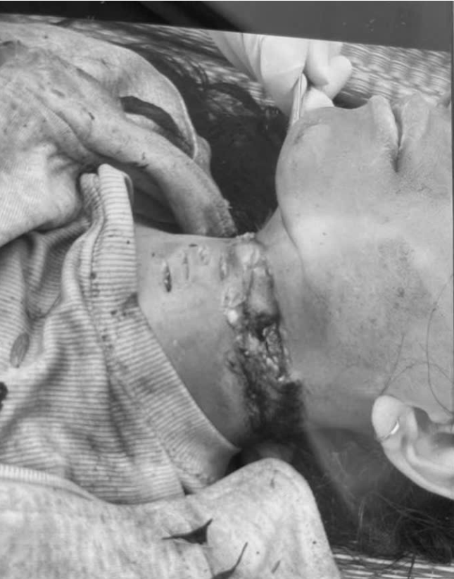 Click image for larger version

Name:	Screenshot 2026-01-03 180310.png
Views:	11
Size:	327.5 KB
ID:	56418