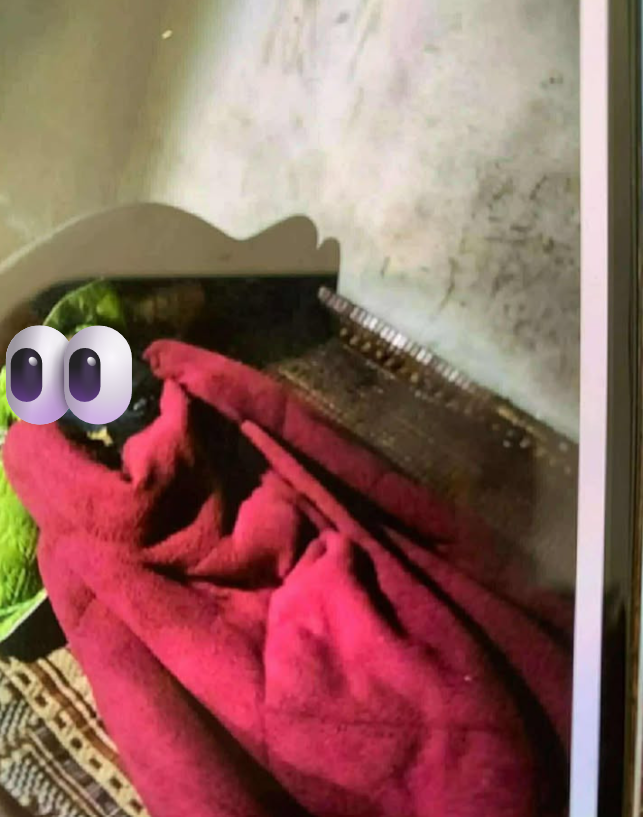 Click image for larger version

Name:	Screenshot 2026-01-10 222926.png
Views:	19
Size:	581.9 KB
ID:	57868