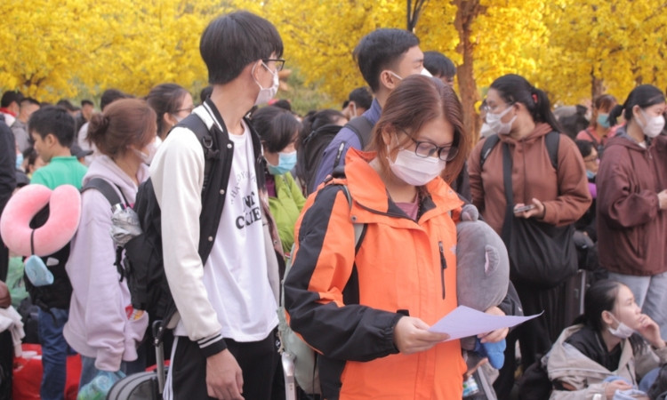 Top 10 ca khúc Bolero nhạc xuân miền Tây làm say lòng người