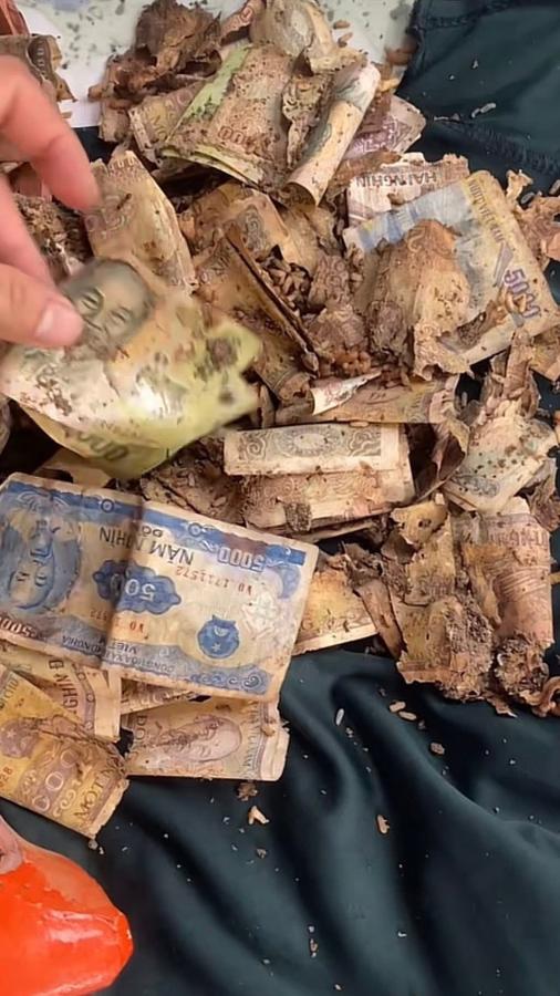 Click image for larger version

Name:	616019416_122157116780876800_5258350575210151354_n.jpg
Views:	0
Size:	83.6 KB
ID:	58382