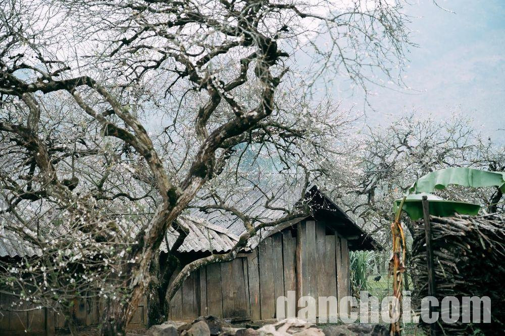 Click image for larger version

Name:	5c8e370a1d42f41cad53.jpg
Views:	15
Size:	314.9 KB
ID:	58559