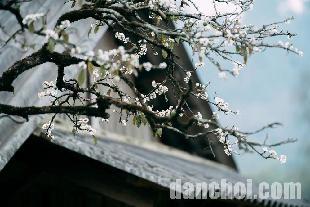 Click image for larger version

Name:	7263e7e0cda824f67db9.jpg
Views:	8
Size:	162.7 KB
ID:	58560