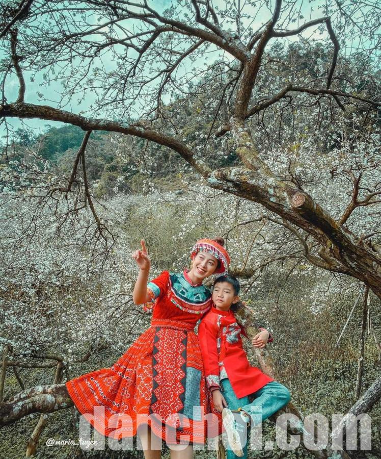 Click image for larger version

Name:	goi-y-lich-trinh-mu-nau-phien-canh-2-ngay-tu-tuc-cho-team-me-moc-chau-02-1644844371.jpg
Views:	8
Size:	236.1 KB
ID:	58561